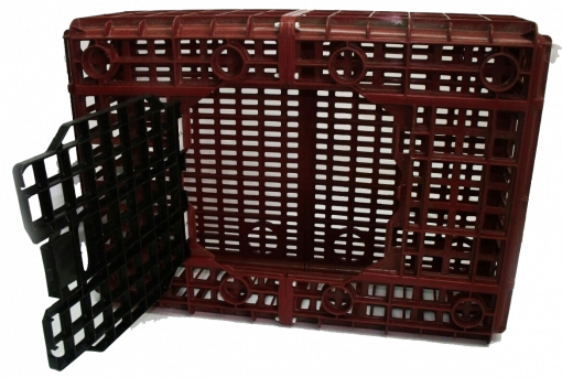 25-GUACAL-POLLERO-510x342