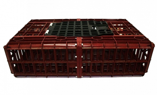 26-GUACAL-POLLERO-510x310