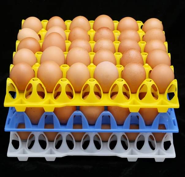 WhatsApp-Image-2022-09-06-at-12.47.46