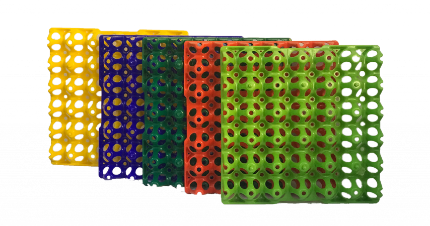 Cubeta-de-huevos-plastica-2048x1079